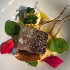 461538630_4693105587496786_3668531180144879634_n (1)