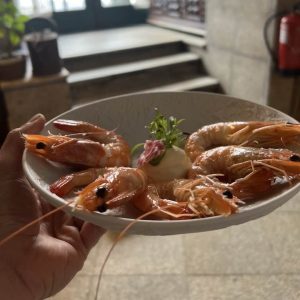 475365173_4821763554630988_5982958369824203904_n